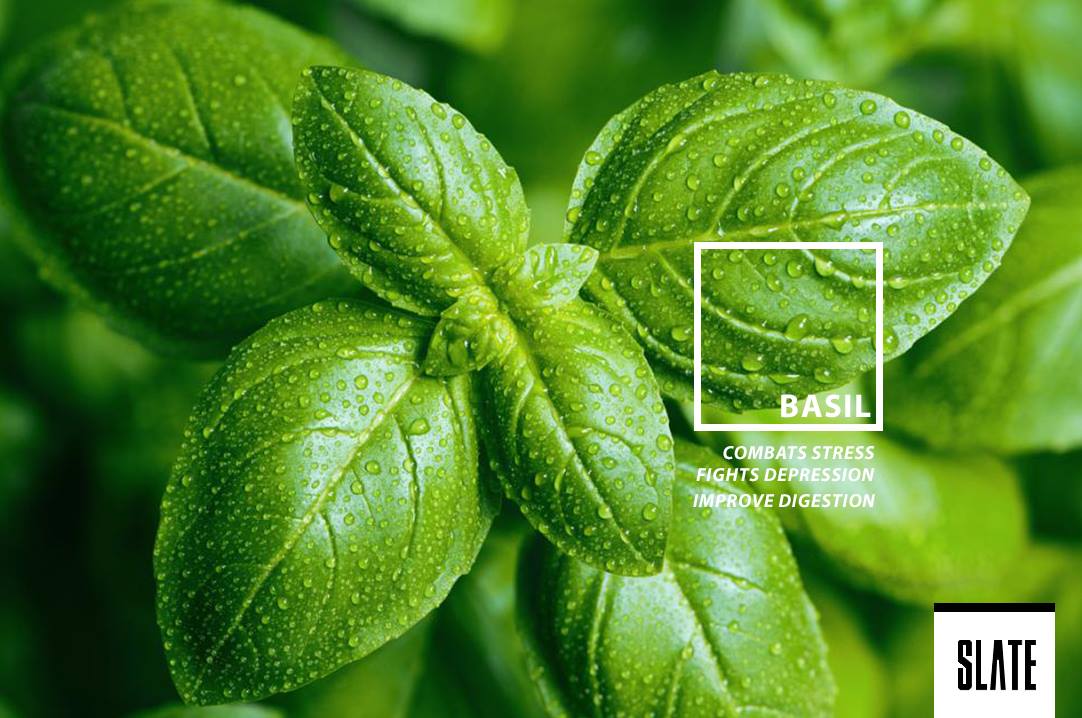 As a good source of magnesium, basil promotes blood flow and combats stress!